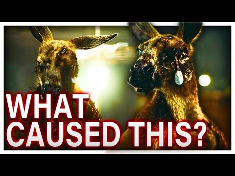 What Caused Rippy's MUTATION? The Red (Rippy) Explained