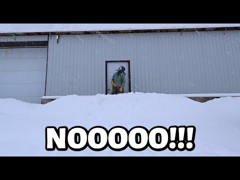 We were NOT expecting this...