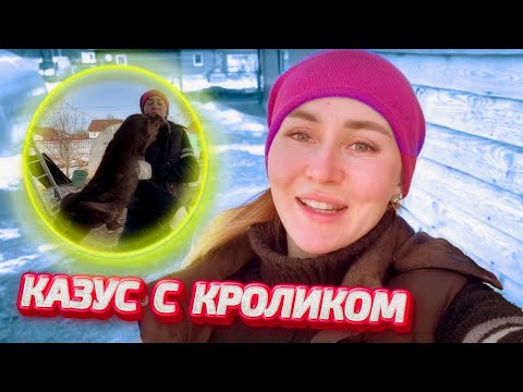 Труд, Март и Инкубация в моем многопрофильном хозяйстве! | Молодая Ферма