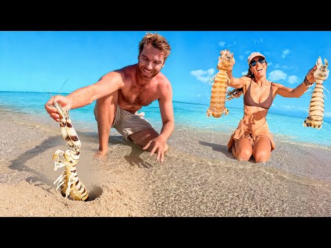 GIANT MANTIS SHRIMP Catch & Cook