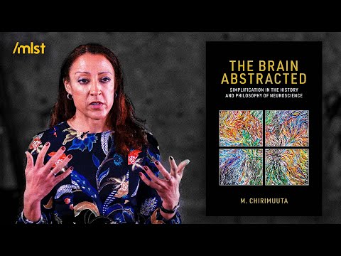 Abstraction & Idealization: AI's Plato Problem [Mazviita Chirimuuta]