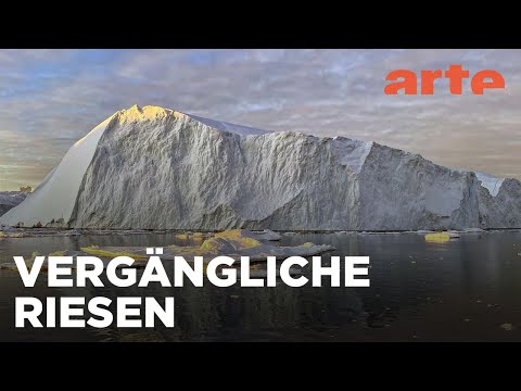 Eisberge, die vergänglichen Riesen | Wilde Welten | ARTE Family