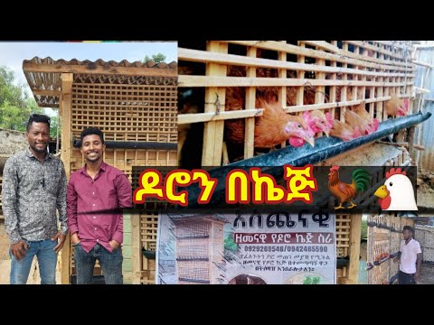 የዶሮ እርባታ በኬጅ #cage #chicken #farming #arbaminch