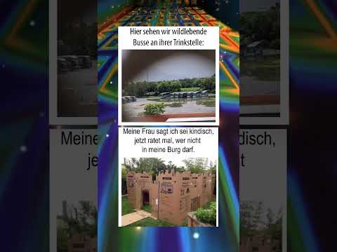 Reddit Memes #405 #memes #funny #shorts