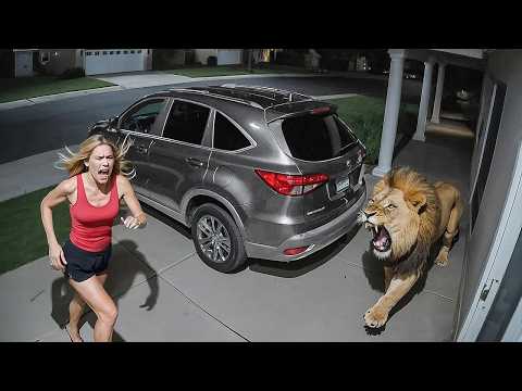 Um em um Bilhão: Momentos Animais Flagrados pelas Câmeras