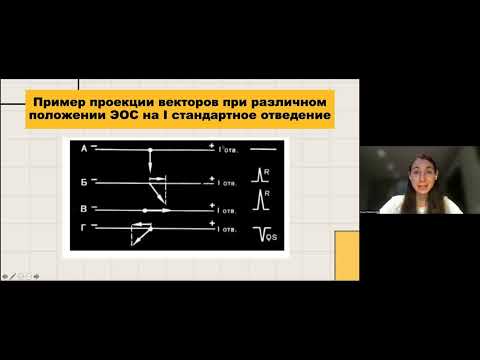 Основы векторной теории ЭКГ