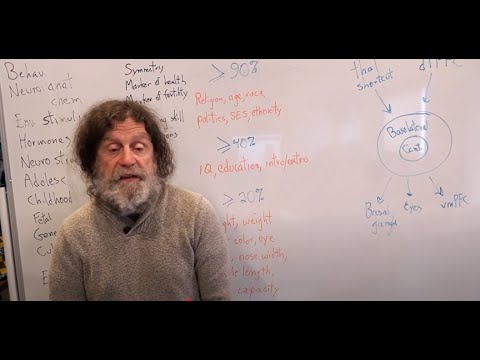 23-Violence and Its Antidotes I - Robert Sapolsky's Human Behavioral Biology