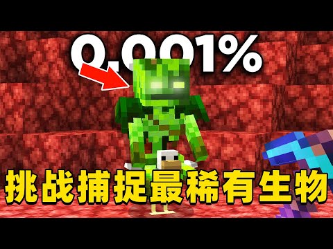 我的世界：肝帝挑战捕捉MC中最稀有的生物，他能挑战成功吗？