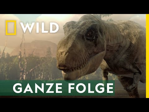 T. Rex: König der Fleischfresser - Ganze Folge | Jurassic C.S.I.