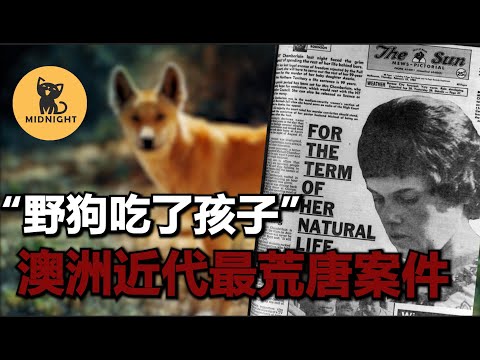 險惡不過人心，誰帶走了阿扎利亞？澳大利亞最具爭議性事件，離奇野狗案