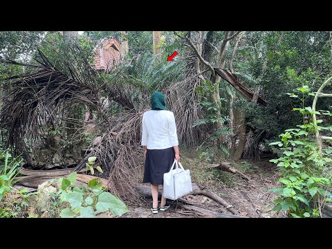 She Paid €32,000 for a House Abandoned for 16 Years — And the Big Surprise After