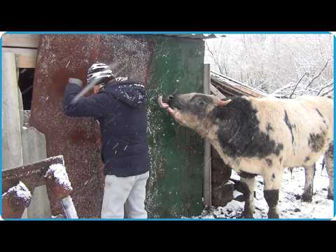 ДАВНО НУЖНО БЫЛО ЭТО СДЕЛАТЬ А У НАС КАК ОБЫЧНО....ЖИЗНЬ В ДЕРЕВНЕ