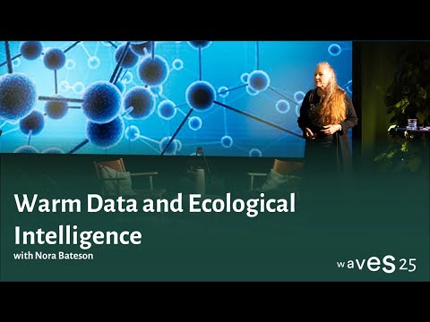 Waves 25: Warm Data and Ecological Intelligence with Nora Bateson