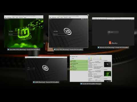 Living with LMDE 6 and Fooling Around with VM's