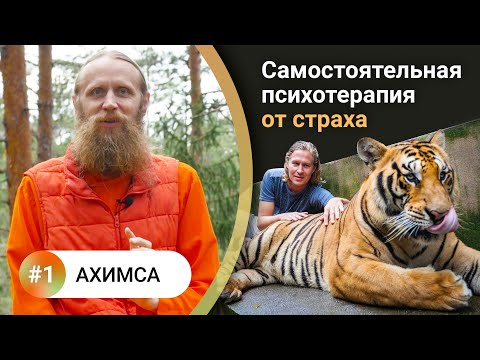 How to live in balance? — 1. Ahimsa. Life without fear and aggression. What attracts danger into ...