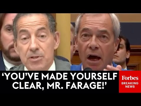 MUST WATCH: Jamie Raskin And Nigel Farage Have Rough Clash Over Free Speech
