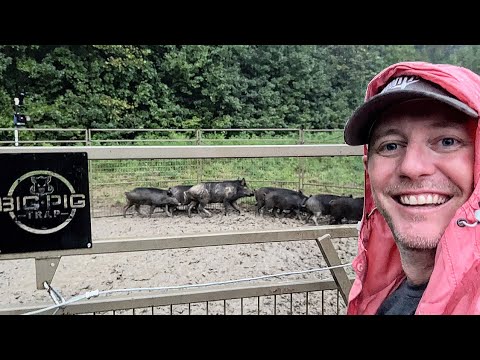 Rainy day mess with the wild hogs. (Wrecked my ranger)