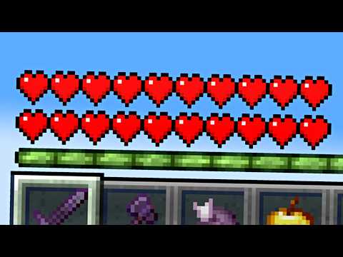 I Reached 20 Hearts on the Lifesteal SMP