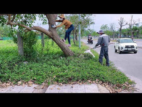 Restoration a sidewalk that had been neglected for 20 years without being cleaned