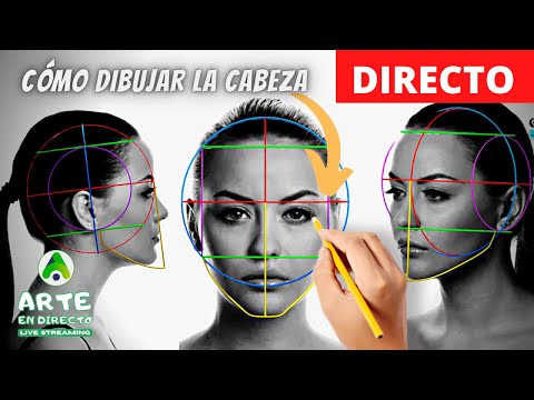 Cómo dibujar la cabeza - frente, 3/4 y perfil - Talleres Virtuales Cusco.