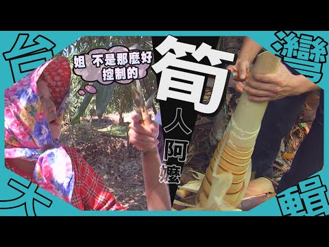 《台灣大輯》【巨竹腰圍比人粗  巨筍多汁媲美梨 / 嗆聲阿嬤  採筍講話犀利 吃飯惦惦專心 / 碗裝破布子  家常菜只這有】台灣第一等