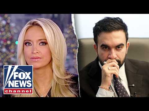 Andrew Yang STUNS Democrats with take on Trump, Mamdani Oval Office meeting