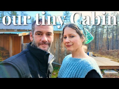 Our Off-Grid Tiny Cabin in the Maine Woods | Full Inside Tour