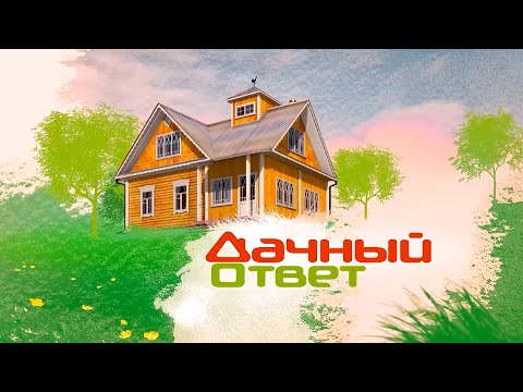 УЧАСТИЕ ФАБРИКИ «ЗОВ» В ПРОЕКТЕ «ДАЧНЫЙ ОТВЕТ» (ЭФИР ОТ 19.10.2025Г.)