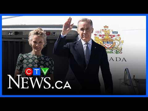 'This is about pragmatic foreign policy' | Professor on the PM's goals with trip to India