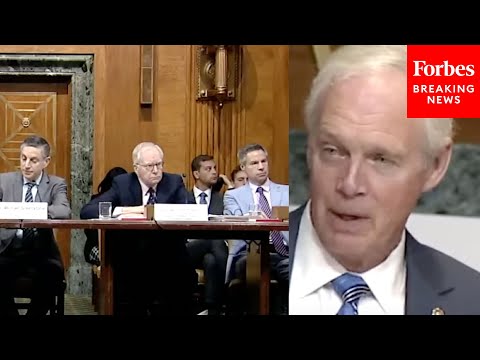 'Anybody Here?': Ron Johnson Asks Witnesses Blunt Questions About Climate Change