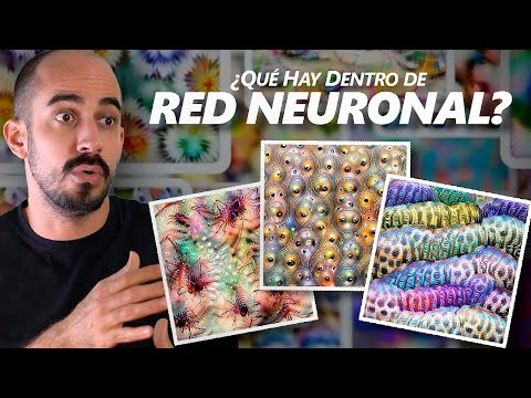 ¡Extraños Patrones dentro de una RED NEURONAL!