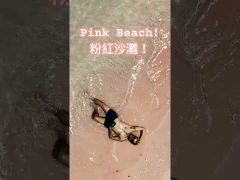 💖粉紅沙灘！Pink Beach #komodoisland
