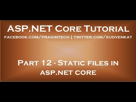 Static files in asp net core
