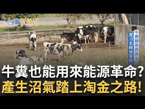 牛糞的價值竟高於鮮花？廢材轉生術開創綠能商機！培植菌種軍團 成綠電「隱形推手」垃圾壓制燃料取代煤炭 環境部訂目標年用50噸！│主播 苑曉琬│【台灣新思路】20250601│三立iNEWS