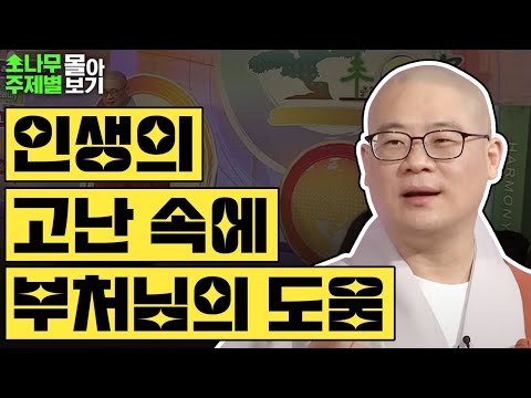 인생의 고난 속에서 부처님이 도와주시네 Top3✨  [광우스님 소나무 주제별 몰아보기]