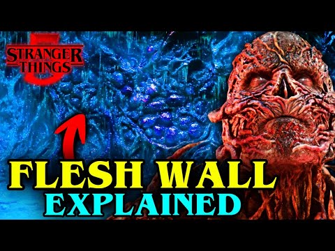 What Is The Flesh Wall In Stranger Things? What Is Beyond It?