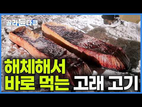 They promptly butcher and consume! Inuit whale hunting