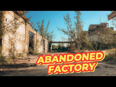 FPV Freestyle in an Abandoned Factory