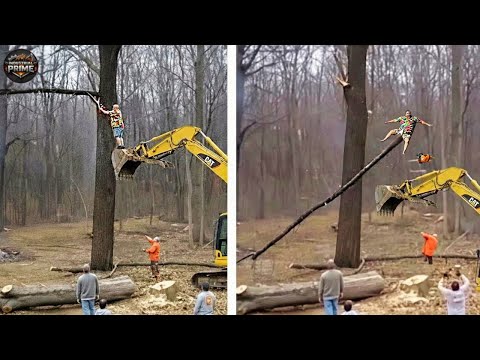 Idiots With Chainsaws: Tree Cutting Fails | Extreme Dangerous Logging Truck Fails #21