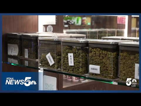 Cannabis retailer talks potential reclassification from Schedule 1 to Schedule 3