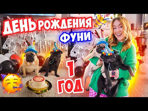 ОТМЕЧАЕМ ПЕРВЫЙ ДЕНЬ РОЖДЕНИЕ ФУНТИКА 🥳 Ржачный Влог 😃