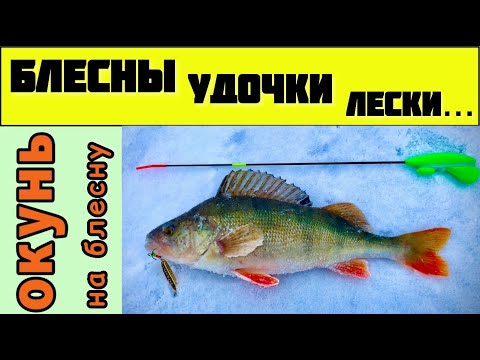 Зимние вертикальные блесны на окуня. Виды зимних блесен. Удочки, леска, оснастка