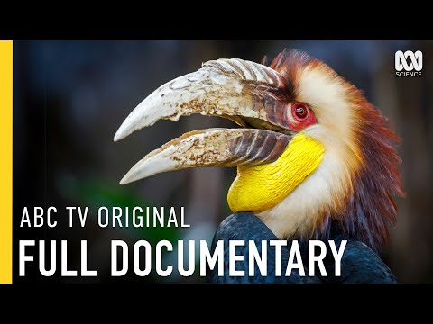 Can We Save Cambodia's Rarest Animals? | FULL DOCUMENTARY