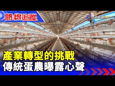 產業轉型的挑戰 傳統蛋農曝露心聲 【熱線追蹤】