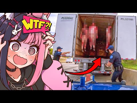 When Cops Make HORRIFYING Discoveries During Traffic Stops… (Reaction)