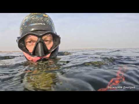 Удача или тяжелый труд