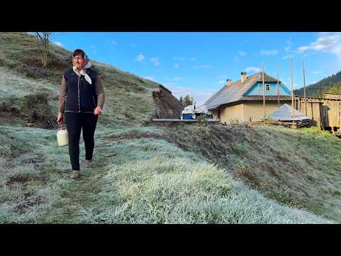 A Day in a Remote Carpathian Village | Simple Life of Maria & Volodymyr 🐄🏞️