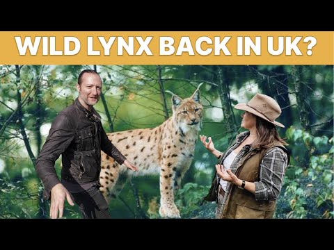 Meet The UK's Leading Rewilding Animal Breeder (Part.2)
