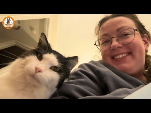 This Stray Cat Took 7 Weeks to Let Me Touch Him — Then Everything Changed