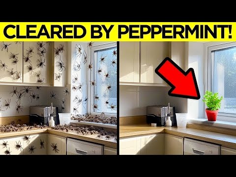 Genius Life Hacks That Work EXTREMELY Well